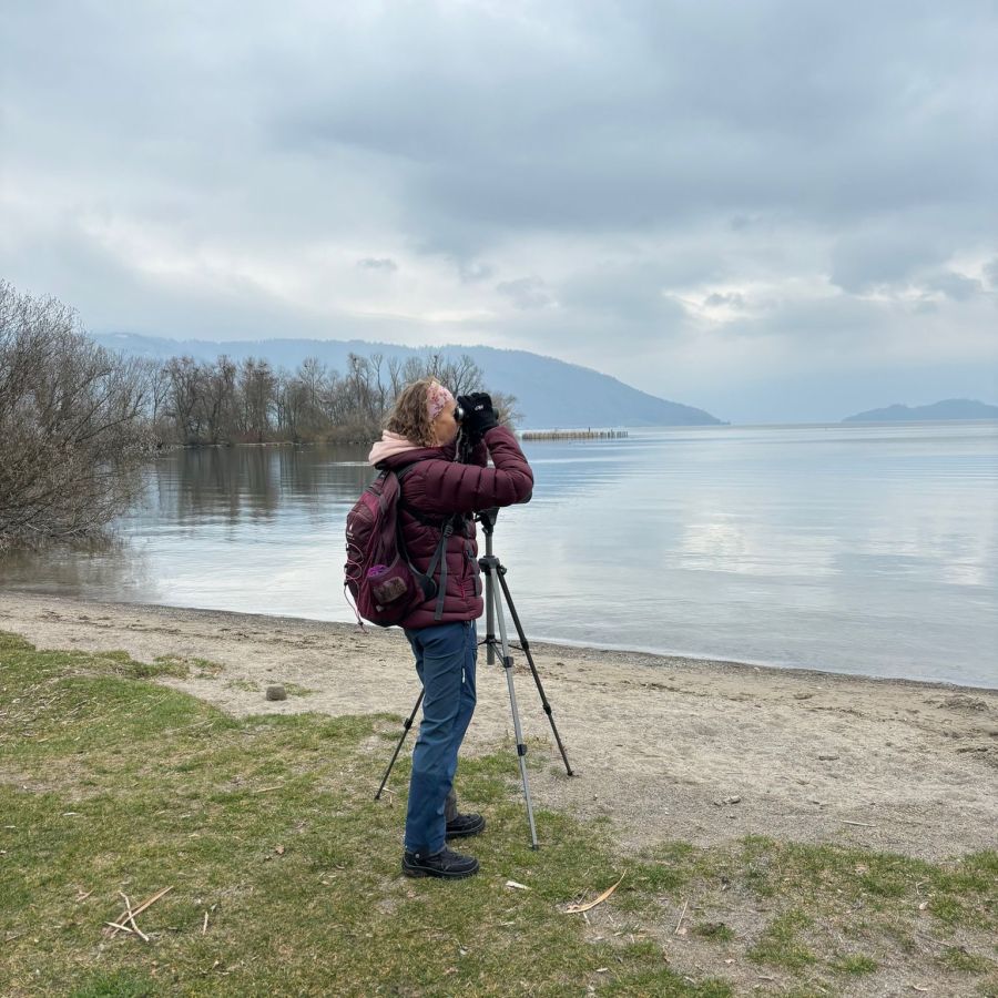 Chollerbucht im Winter