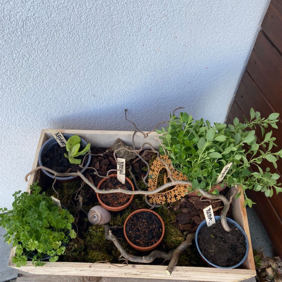 Mein Kräuter-garten